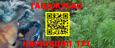 сатива Рязань