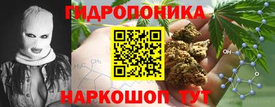 амф Рыбинск