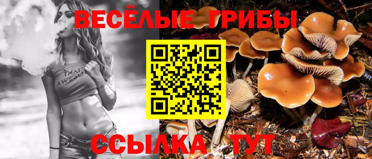 Галлюциногенные грибы Psilocybine cubensis  Галлюциногенные грибы Magic Shrooms  Ахтубинск  Вход с VPN 